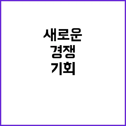 출혈경쟁 끝! 보험사 새로운 기회 찾았다!