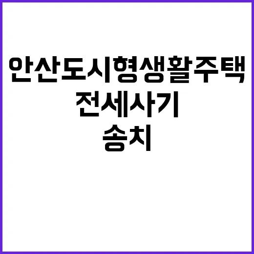 전세사기 안산 도시형생활주택 임대인 부부 송치!