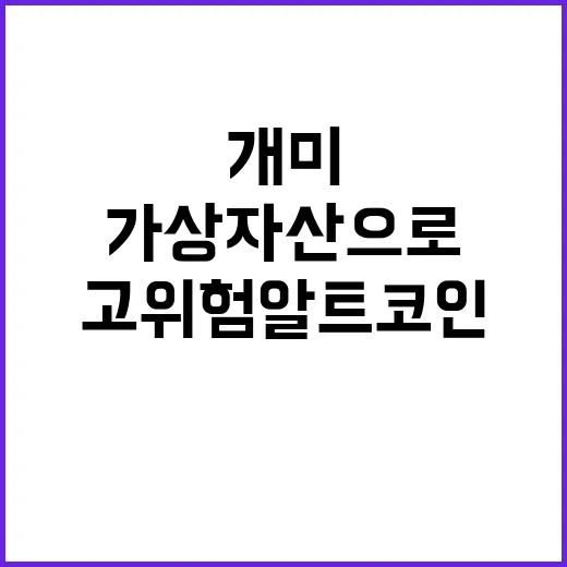 개미 가상자산으로 이탈… 고위험 알트코인 열풍!