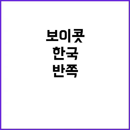 반쪽 추도식 한국의 보이콧 이유는 무엇?