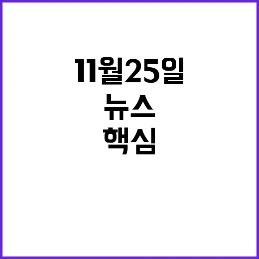 뉴스리뷰 11월 25일의 핵심 사건들 공개!