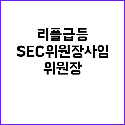 리플 급등 美 SEC 위원장 사임 소식의 영향!