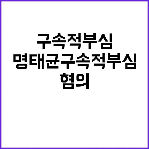 명태균 구속적부심으로 혐의 사실의 모순 주장!