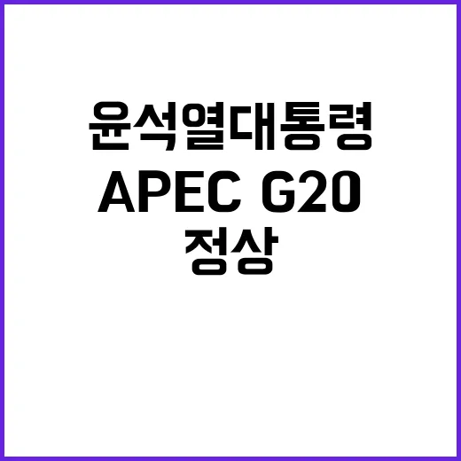 성과 윤석열 대통령 APEC·G20 정상회의에서 무엇을 이뤘나?