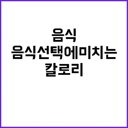 칼로리 표시 음식 …