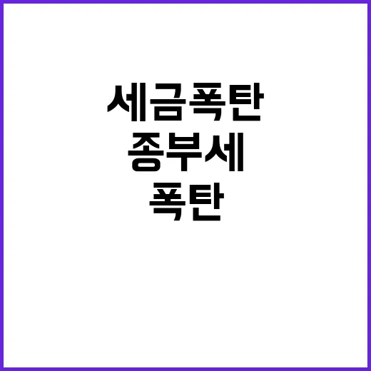 종부세 과세 55만명 평균 145만원 세금 폭탄!