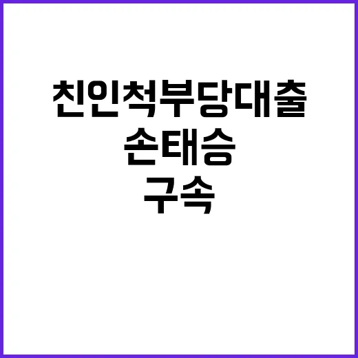 친인척 부당대출 결정의 날 손태승 구속 여부는?