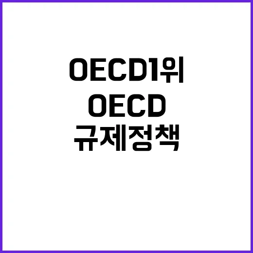 OECD 1위 규제정책의 새로운 기준 제시!