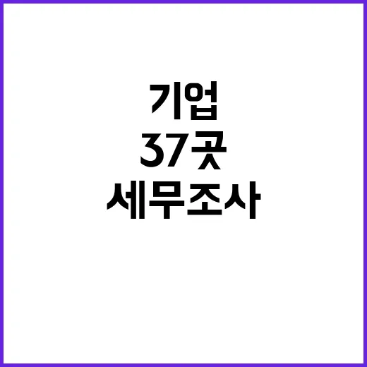 세무조사 37곳 기업 호화 생활 적발!