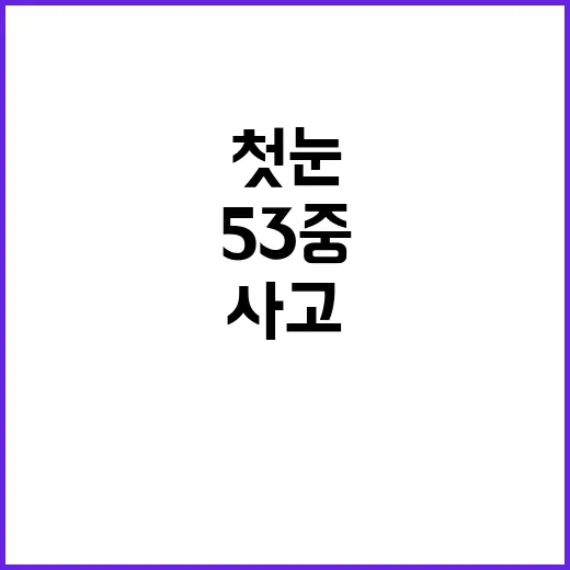 첫눈 ‘악몽’…블랙아이스에 설상가상 53중 사고!