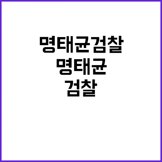 민주 윤부부명태균 검찰 고발로 바뀐 정치 판도!