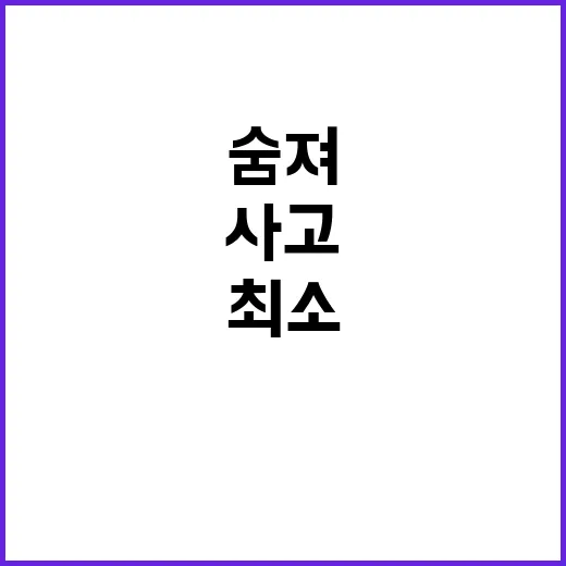 사고 무거운 눈에 최소 5명 숨져!