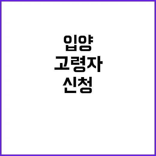 입양 신청 가능성 고령자의 양육능력 중요성 강조!