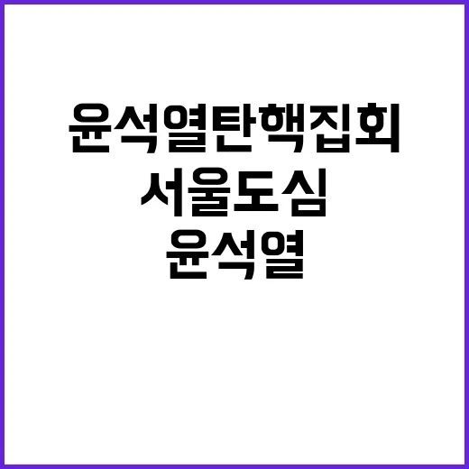 윤석열 탄핵 집회 서울 도심을 뒤흔들다!