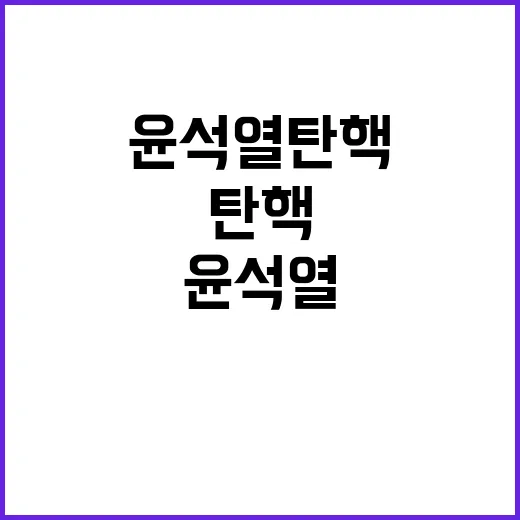 윤석열 탄핵 서울 도심에서 다시 뜨거운 분위기!