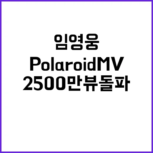 Polaroid MV 2500만뷰 돌파! 임영웅의 인기 상승!