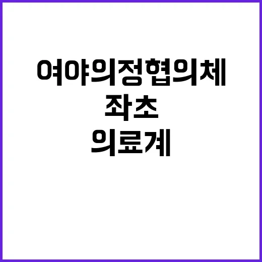 의료계 이탈 여야의정 협의체의 좌초 이유 밝혀졌다!