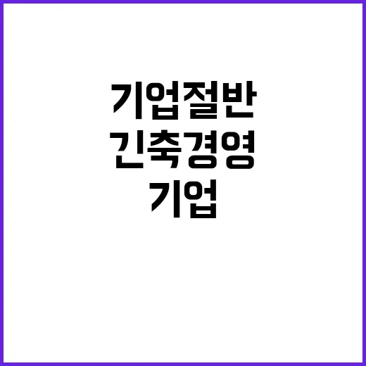 긴축 경영 국내 기업 절반 5년 새 최고치!