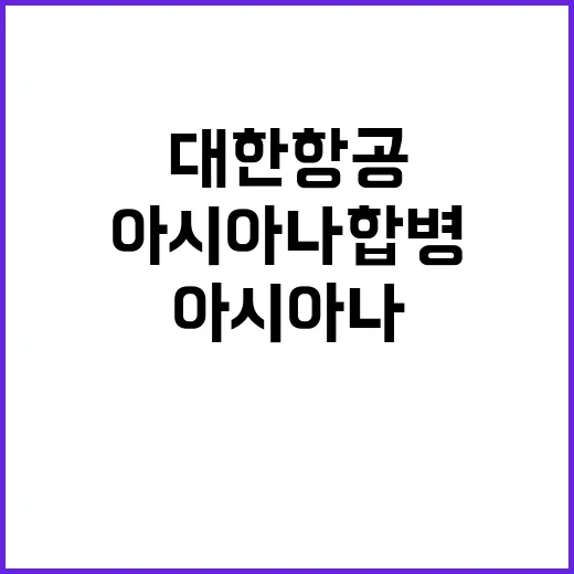 대한항공아시아나 합…