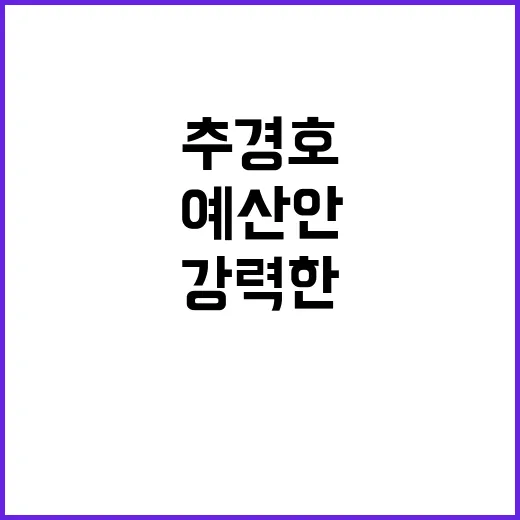 예산안 협상 없다는 추경호의 강력한 발언!