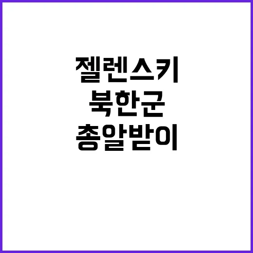 젤렌스키 북한군 총알받이 러시아 전투 피의 희생