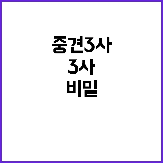 판매량 증가 중견 3사 덕분의 비밀 공개!