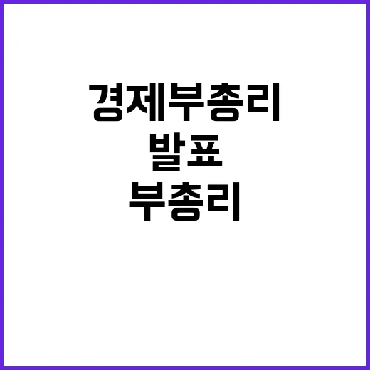 경제부총리 정부입장…