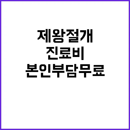 제왕절개 진료비 내년도부터 본인부담 무료!