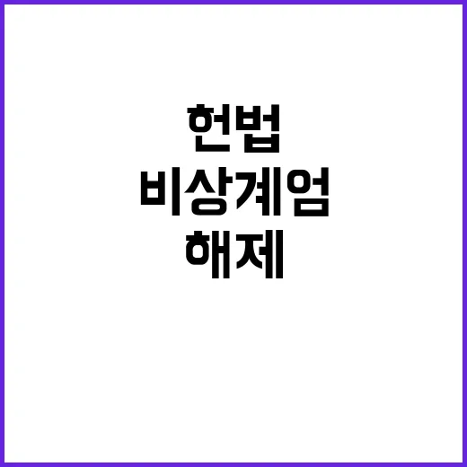 비상계엄 해제 21세기 헌법 절차 공개!