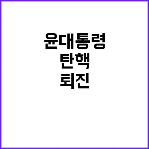 민주당 윤 대통령 퇴진 없으면 탄핵 시작