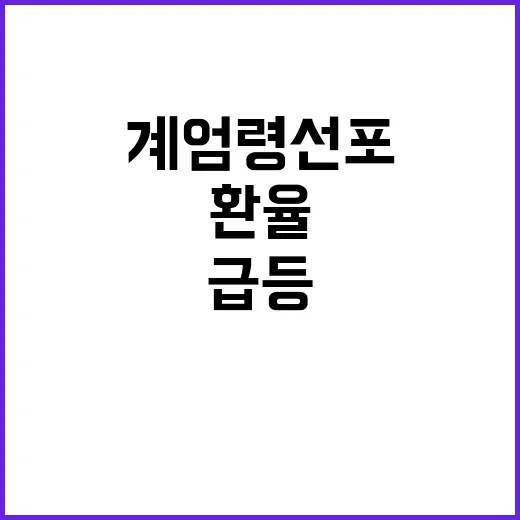 ‘계엄령 선포’ 후폭풍 환율과 코인 급등!