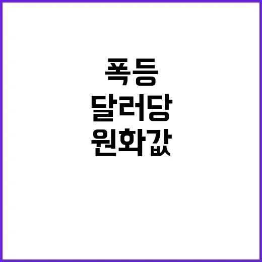 원화값 급등락…달러…