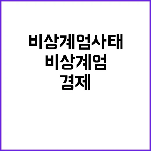 비상계엄 사태 경제·금융사령탑 행보 공개!