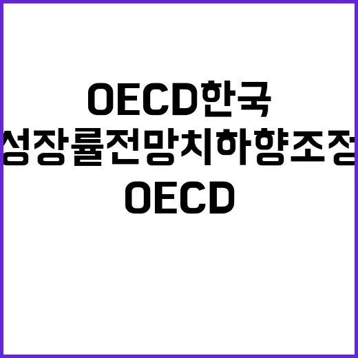 OECD 한국 성장률 전망치 하향 조정의 충격!