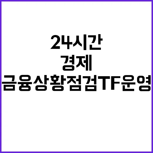 경제 24시간 금융상황 점검 TF 운영 중!