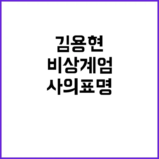 계엄령 외국인들 한밤중 날벼락의 진실은?