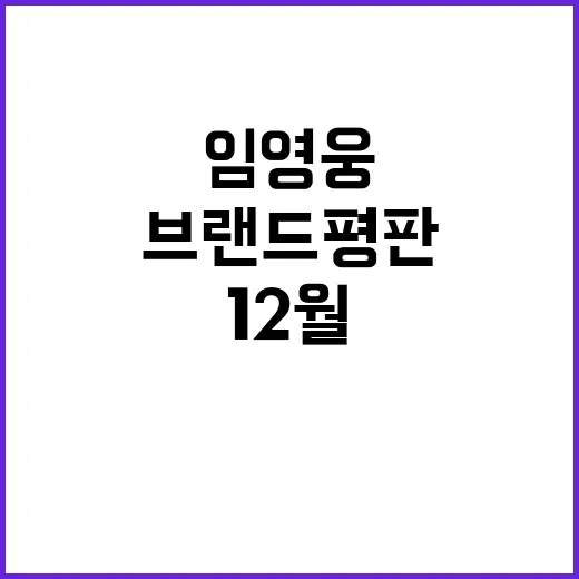 광고모델 임영웅 12월 브랜드평판 2위!