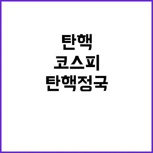 탄핵 정국 코스피 상승했던 과거의 진실은?