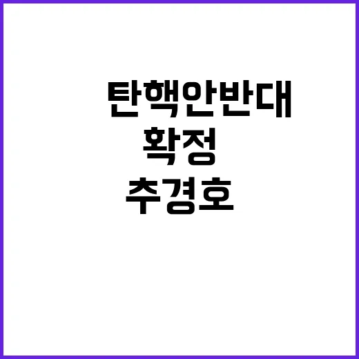 추경호 발언 尹 탄…