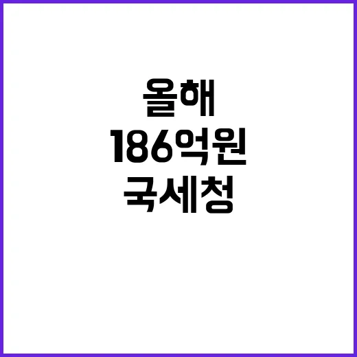 환급금 국세청 올해 186억원 지급의 비밀 확인!