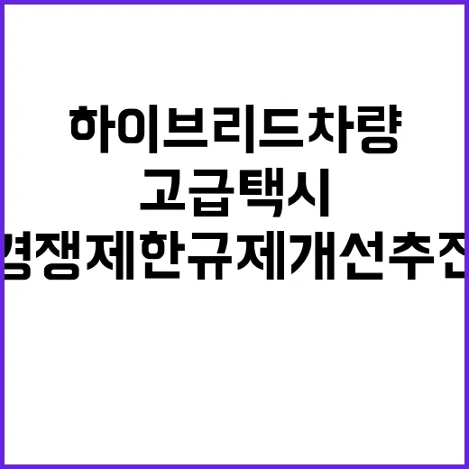 하이브리드 차량 고급택시 경쟁제한규제 개선 추진!