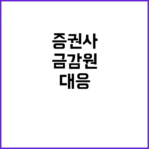 비상대응계획 금감원…