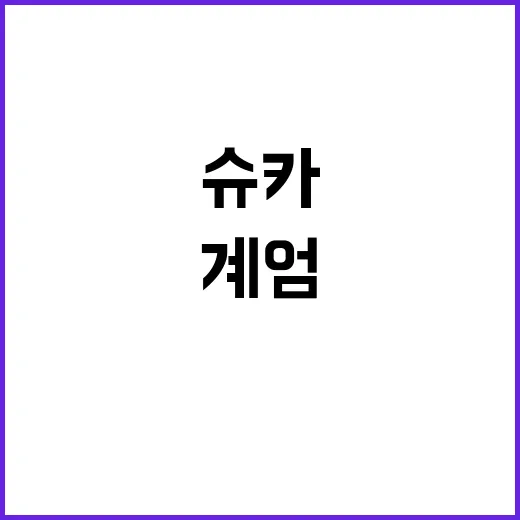 슈카의 억울함 계엄 찬성 사실 아니었다!