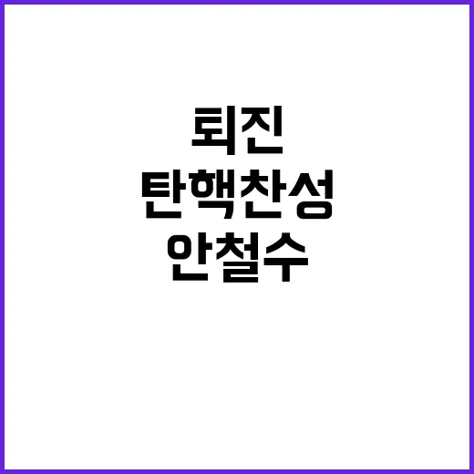 탄핵 찬성 안철수 대통령 퇴진 계획 없다!