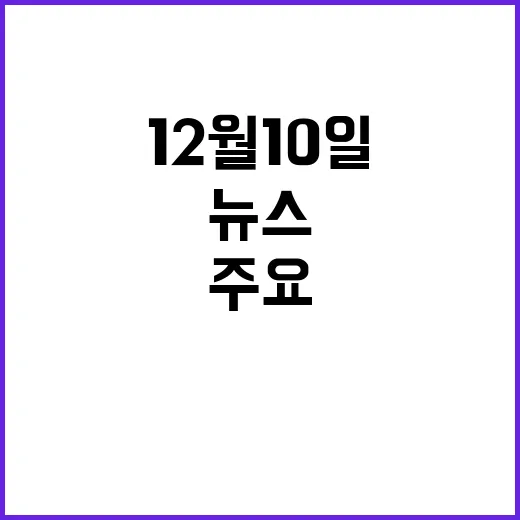 뉴스투나잇 12월 …