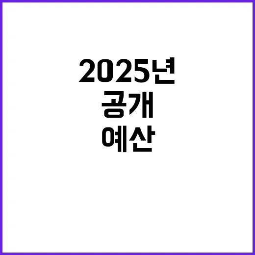 예산 2025년 분…