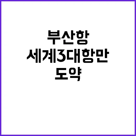 부산항 세계 3대 …