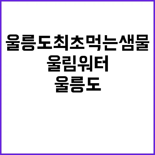 울림워터 울릉도 최…