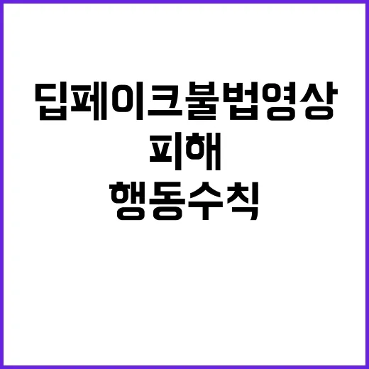 딥페이크 불법영상 …