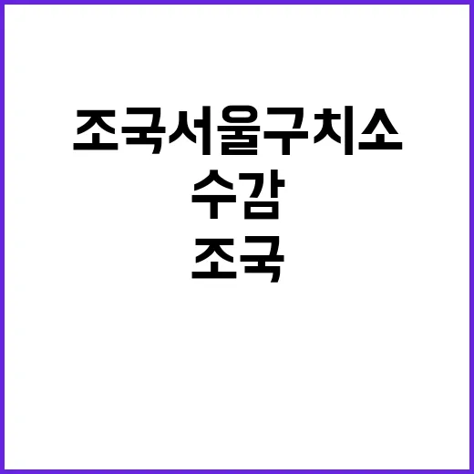 조국 서울구치소 수…